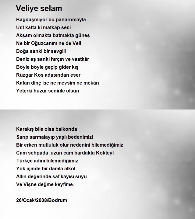 Yüksel Nimet Apel