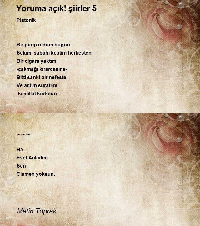 Metin Toprak