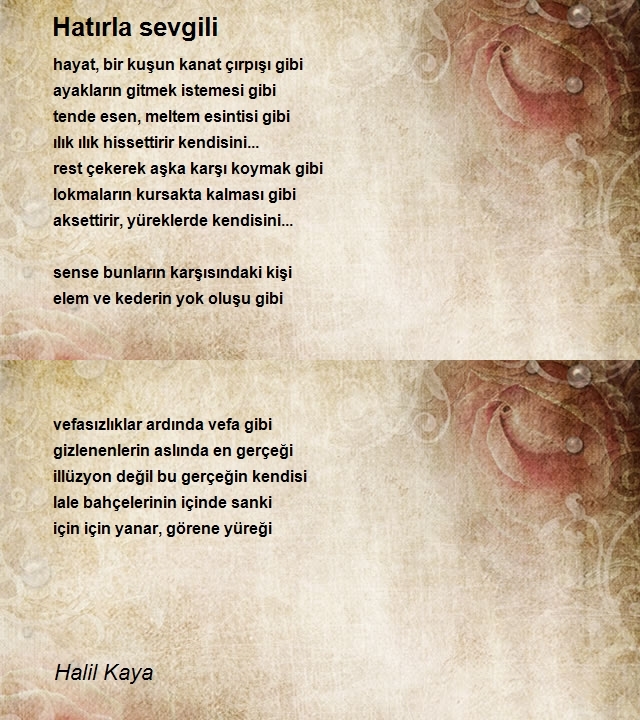 Halil Kaya