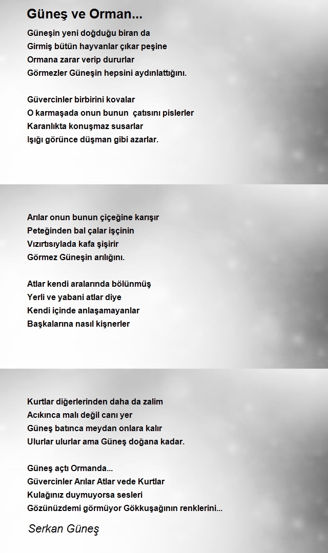 Serkan Güneş