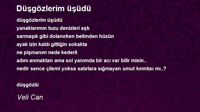 Veli Can