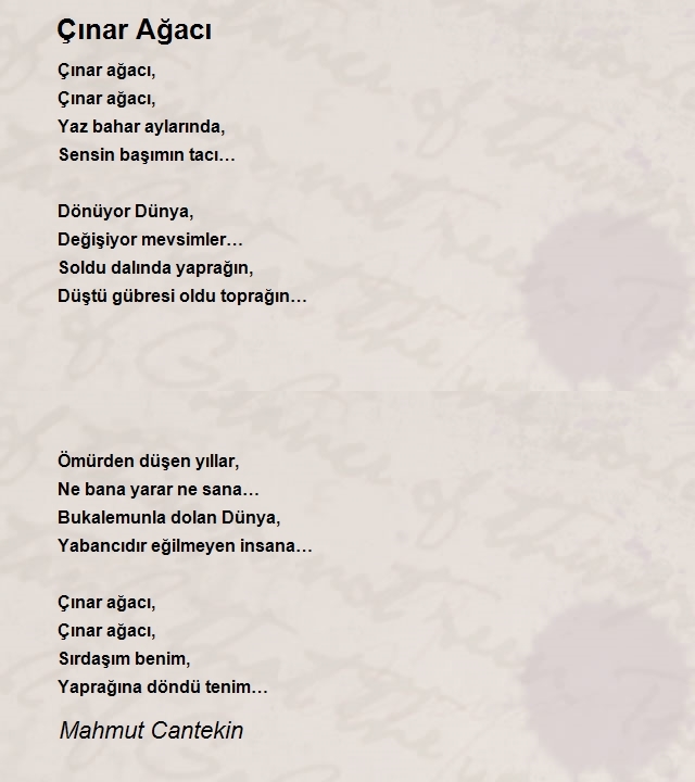 Mahmut Cantekin