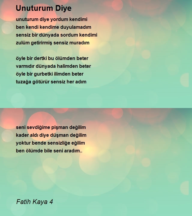 Fatih Kaya 4