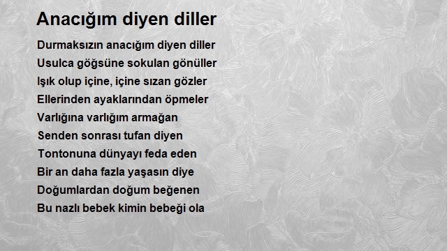 Mehmet Yalçın 2