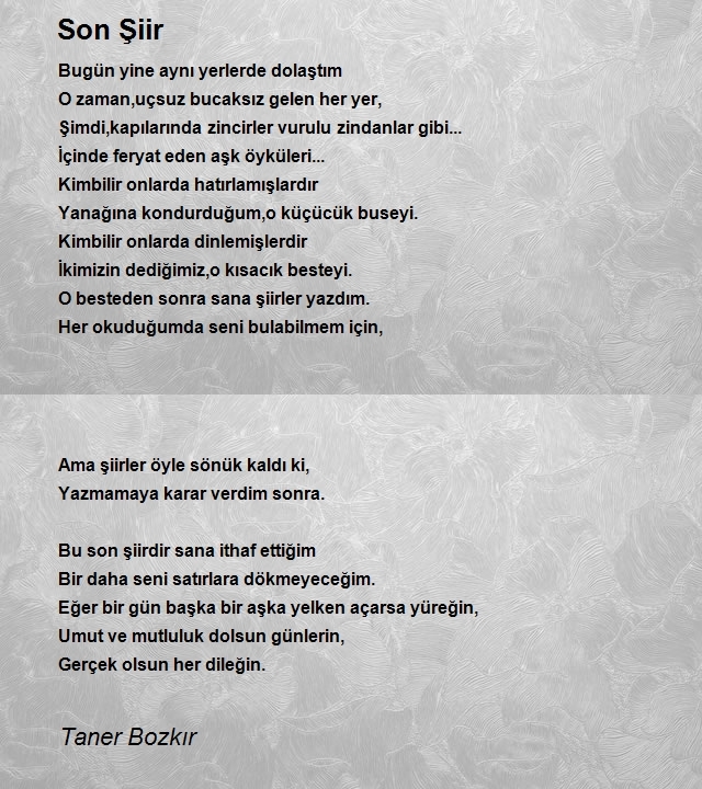 Taner Bozkır
