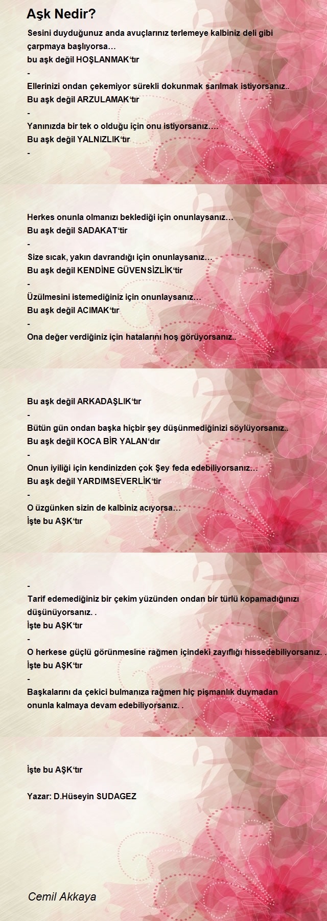 Cemil Akkaya