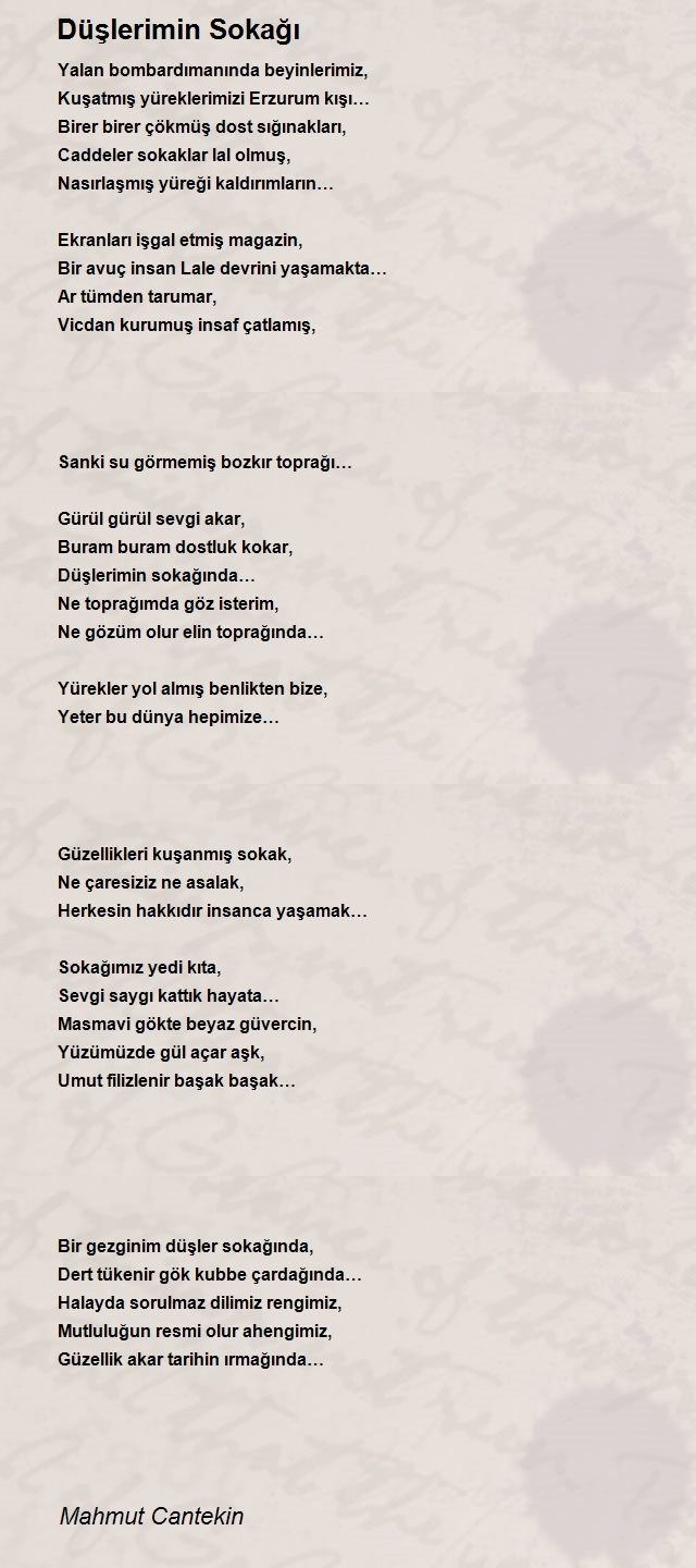 Mahmut Cantekin