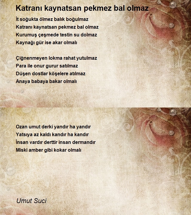 Umut Suci
