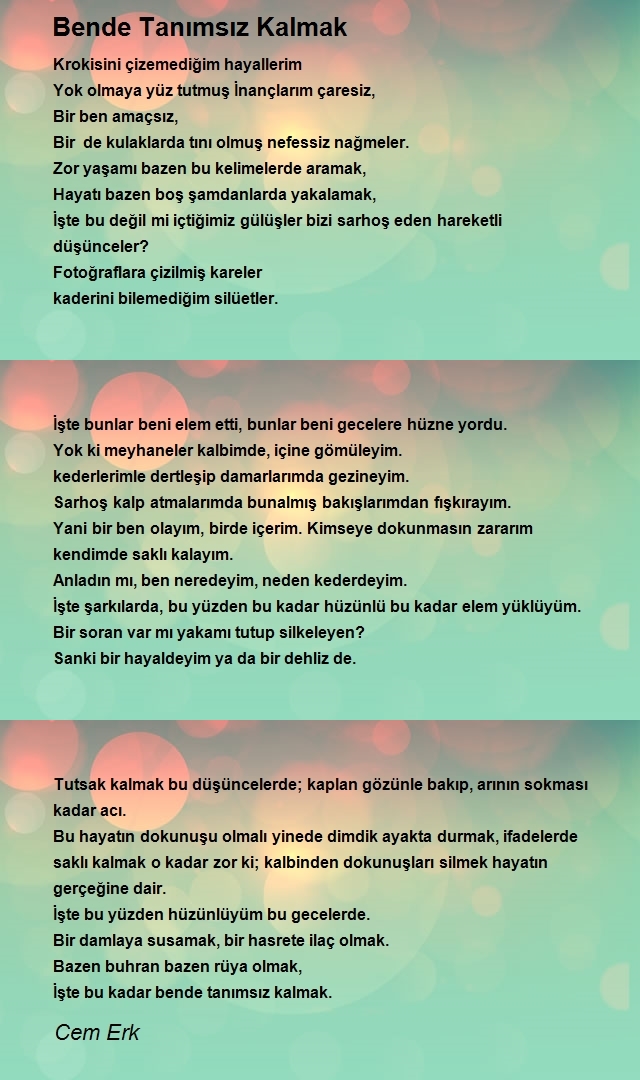 Cem Erk