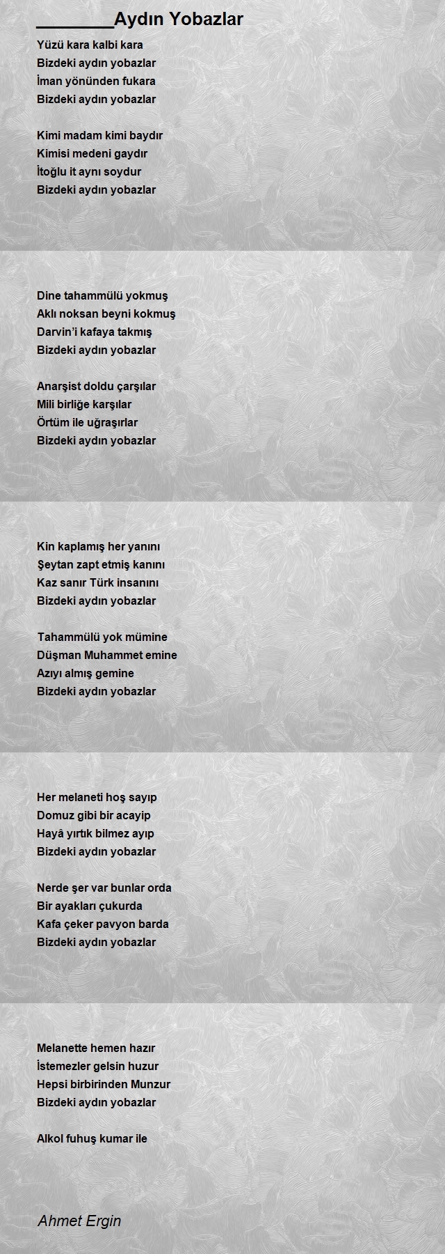 Ahmet Ergin