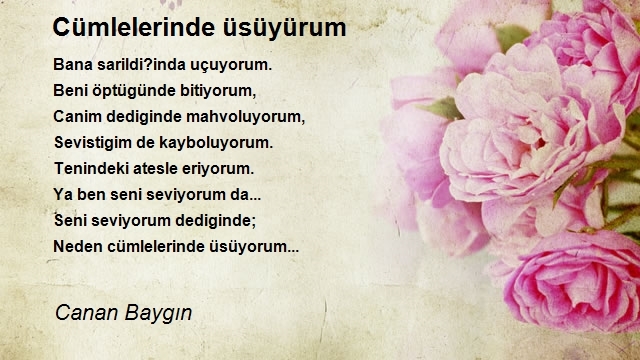 Canan Baygın