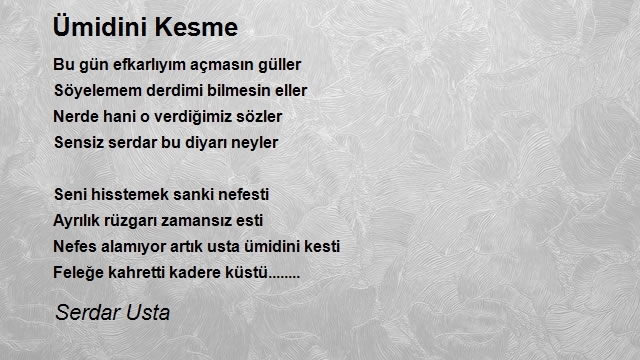 Serdar Usta