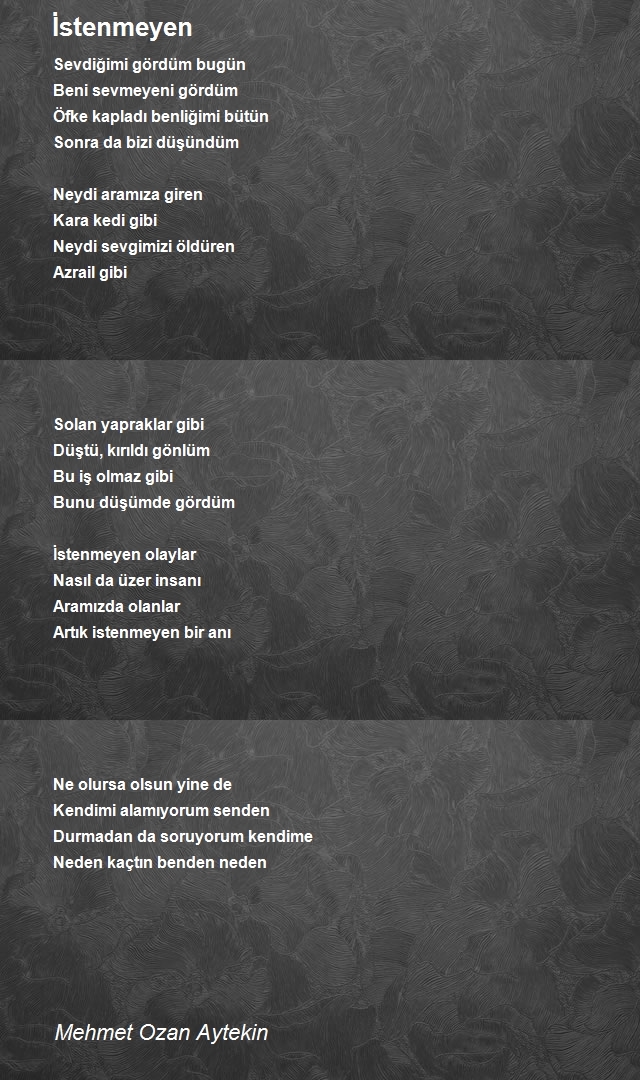 Mehmet Ozan Aytekin