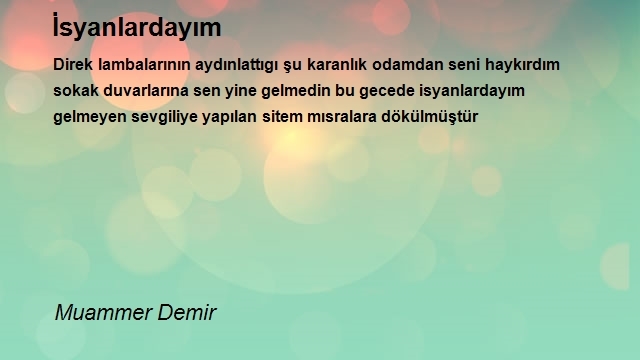 Muammer Demir