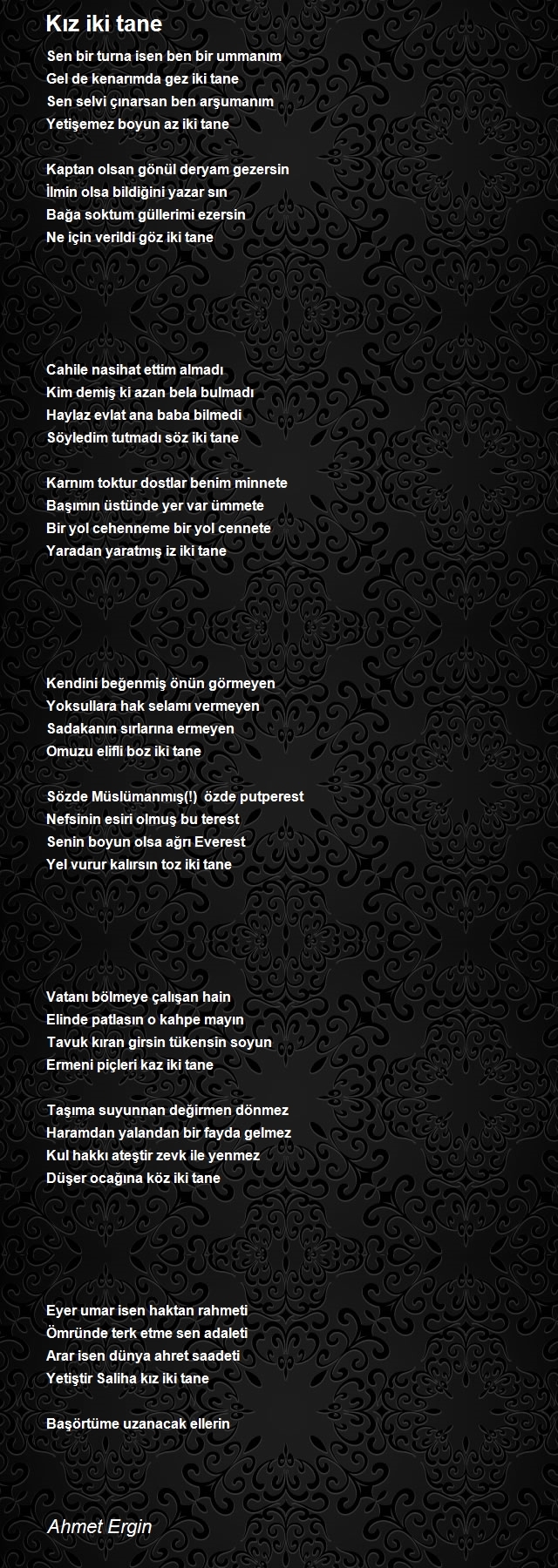 Ahmet Ergin