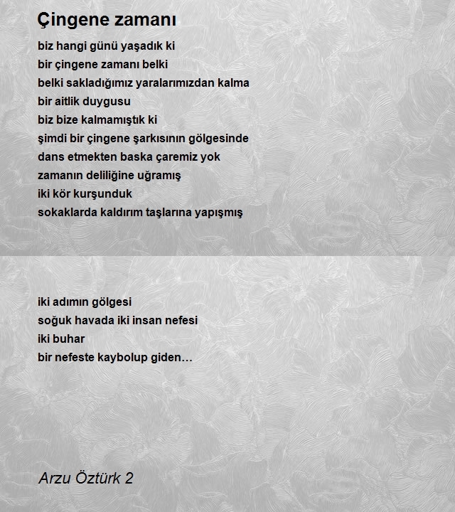 Arzu Öztürk 2