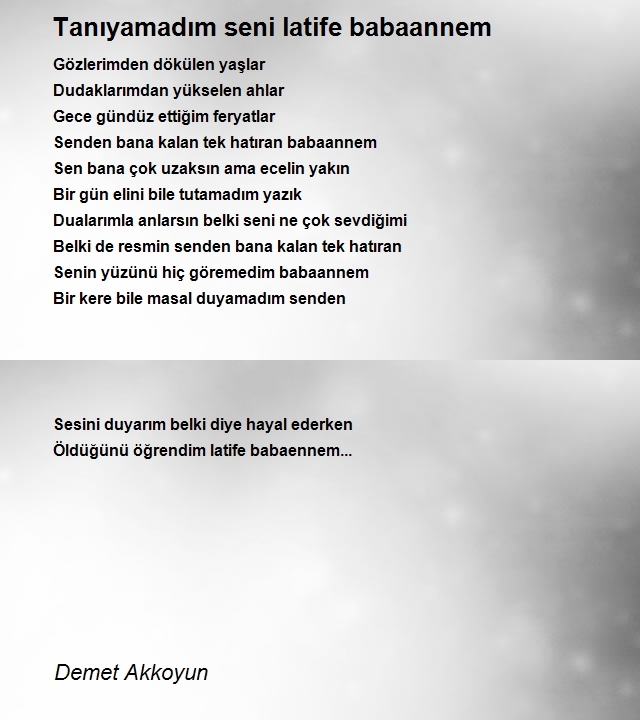 Demet Akkoyun