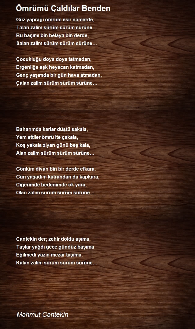 Mahmut Cantekin