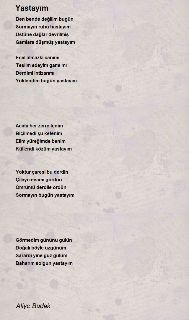 Aliye Budak