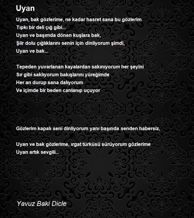 Yavuz Baki Dicle