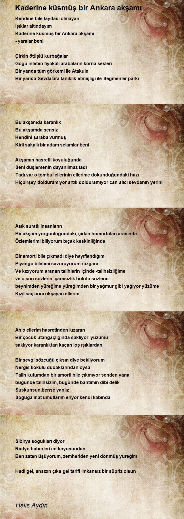 Halis Aydın