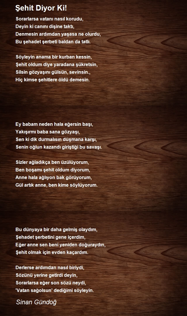 Sinan Gündoğ
