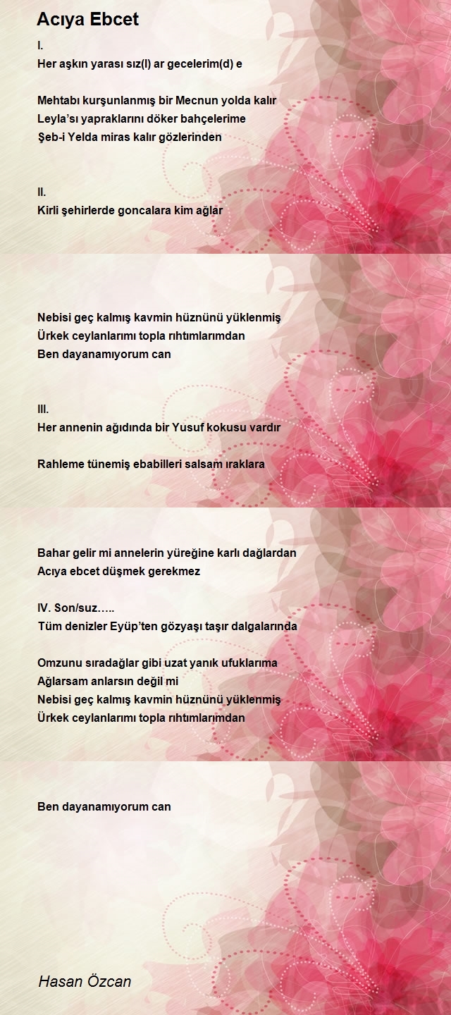 Hasan Özcan