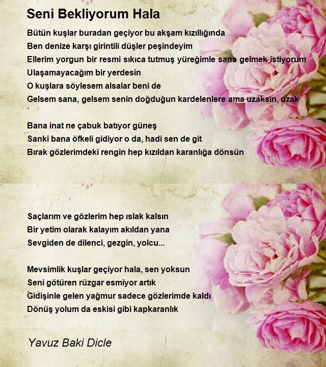 Yavuz Baki Dicle