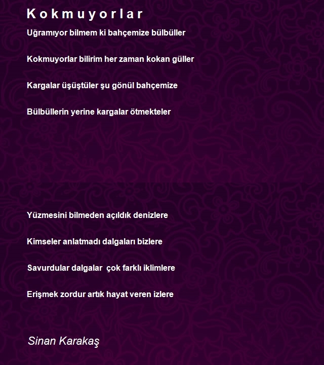 Sinan Karakaş