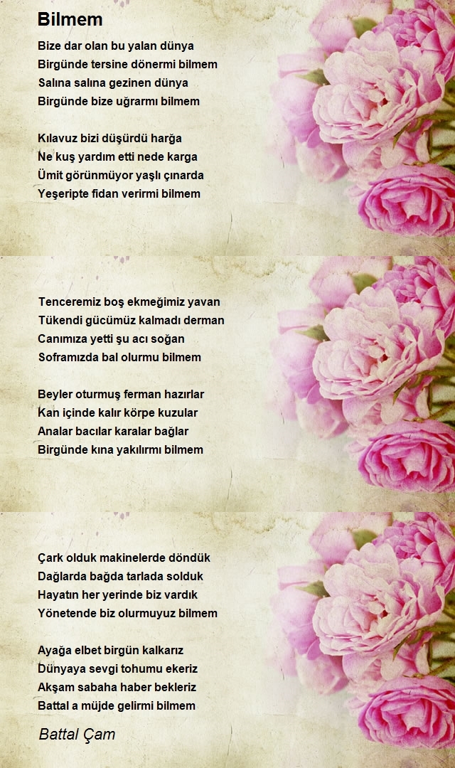Battal Çam