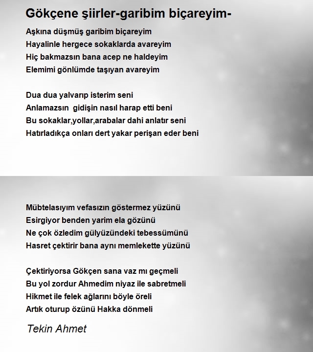 Tekin Ahmet