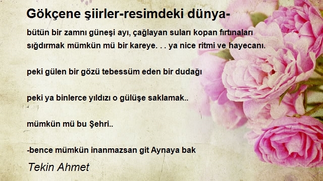 Tekin Ahmet