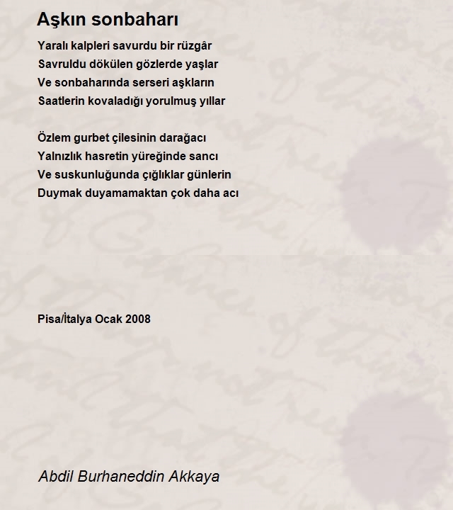 Abdil Burhaneddin Akkaya