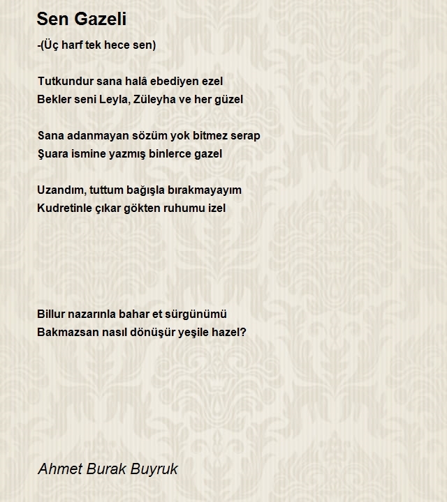 Ahmet Burak Buyruk