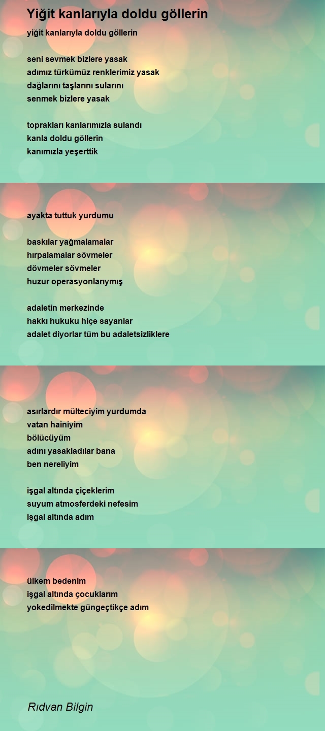 Rıdvan Bilgin