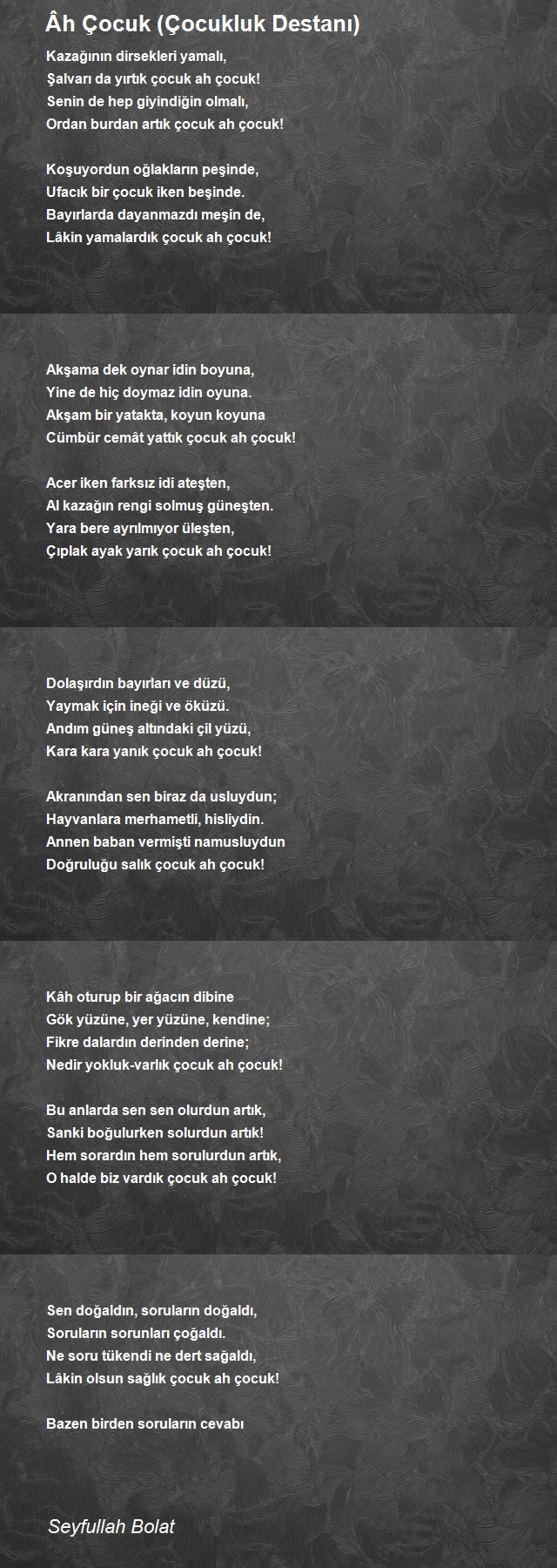 Seyfullah Bolat