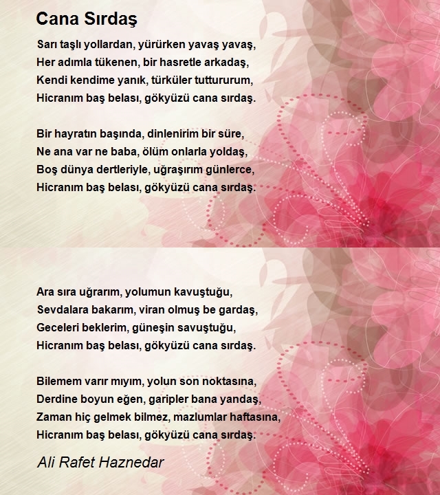 Ali Rafet Haznedar