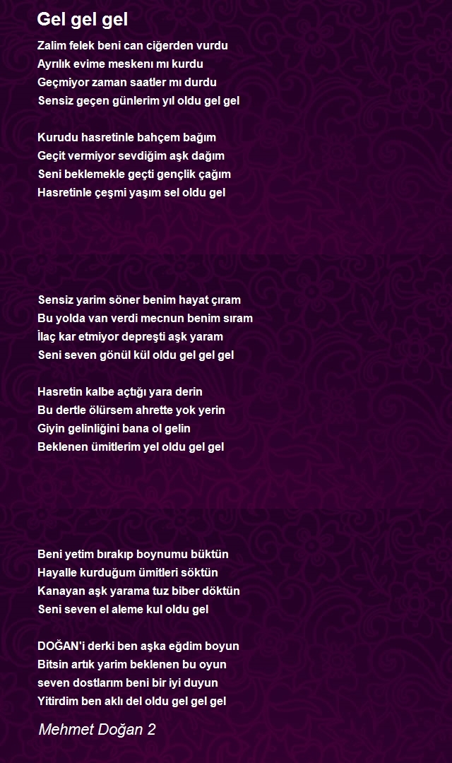 Mehmet Doğan 2
