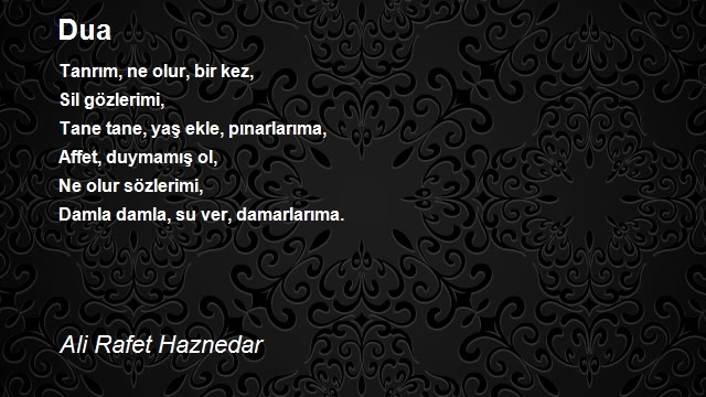 Ali Rafet Haznedar