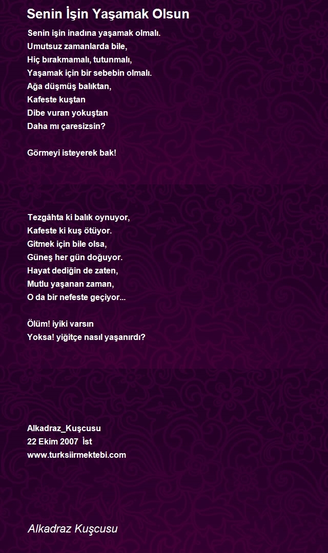 Turan Tuncer