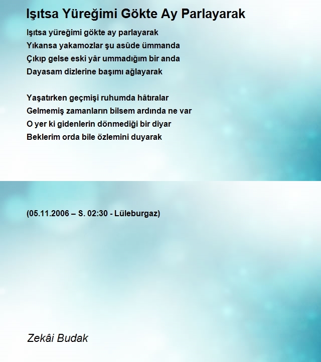 Zekâi Budak
