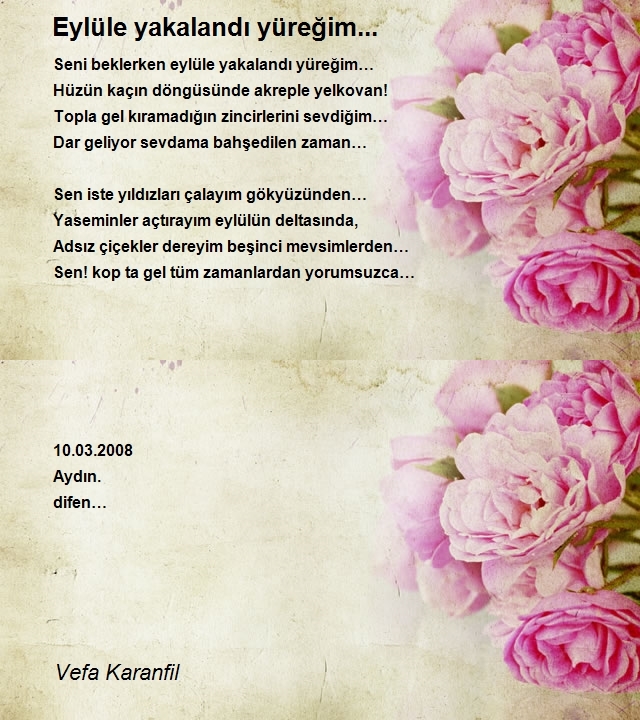 Vefa Karanfil