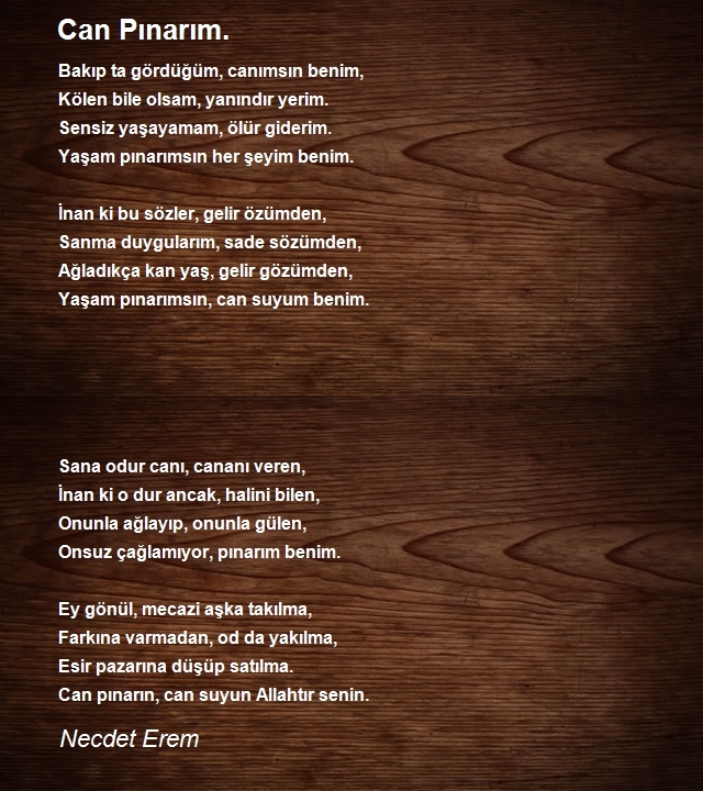 Necdet Erem