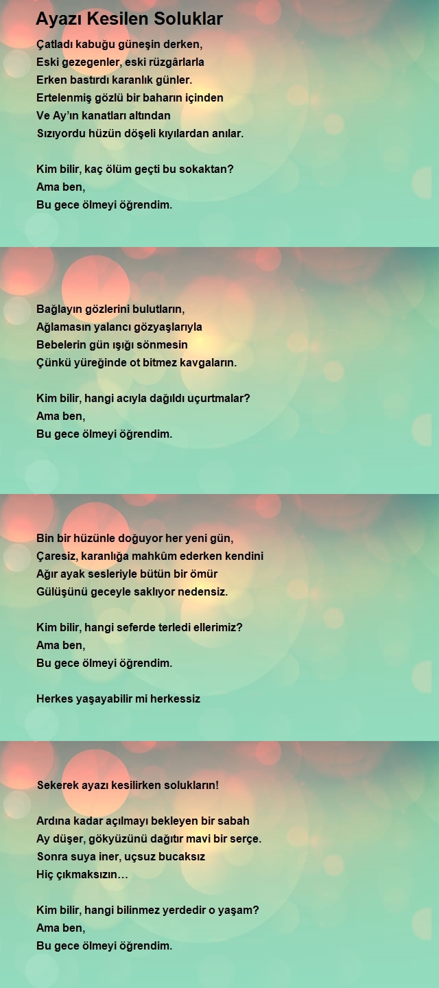 Suna Doğanay