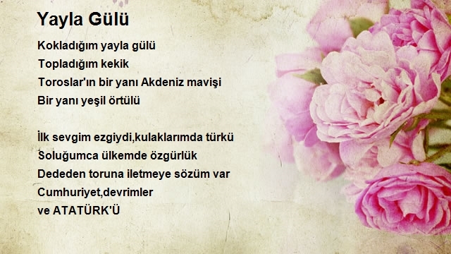 Sami Hamamcı