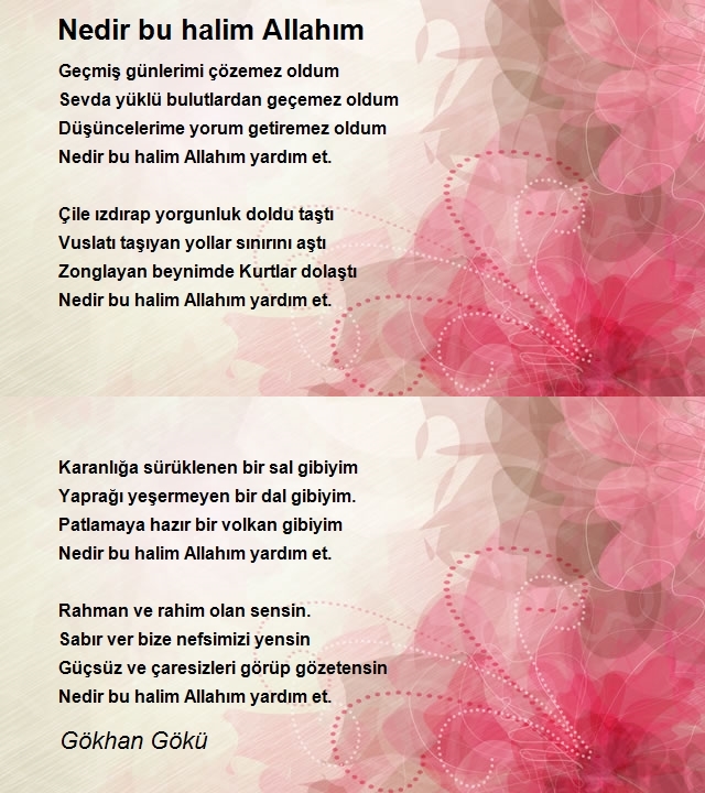 Gökhan Gökü
