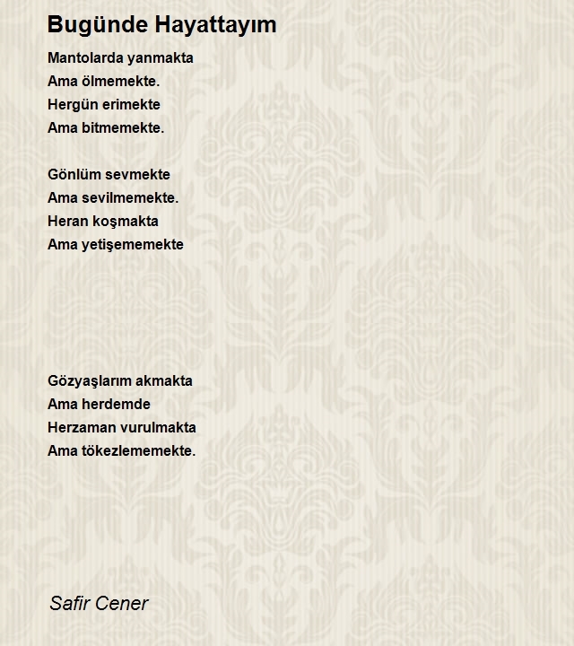 Safir Cener