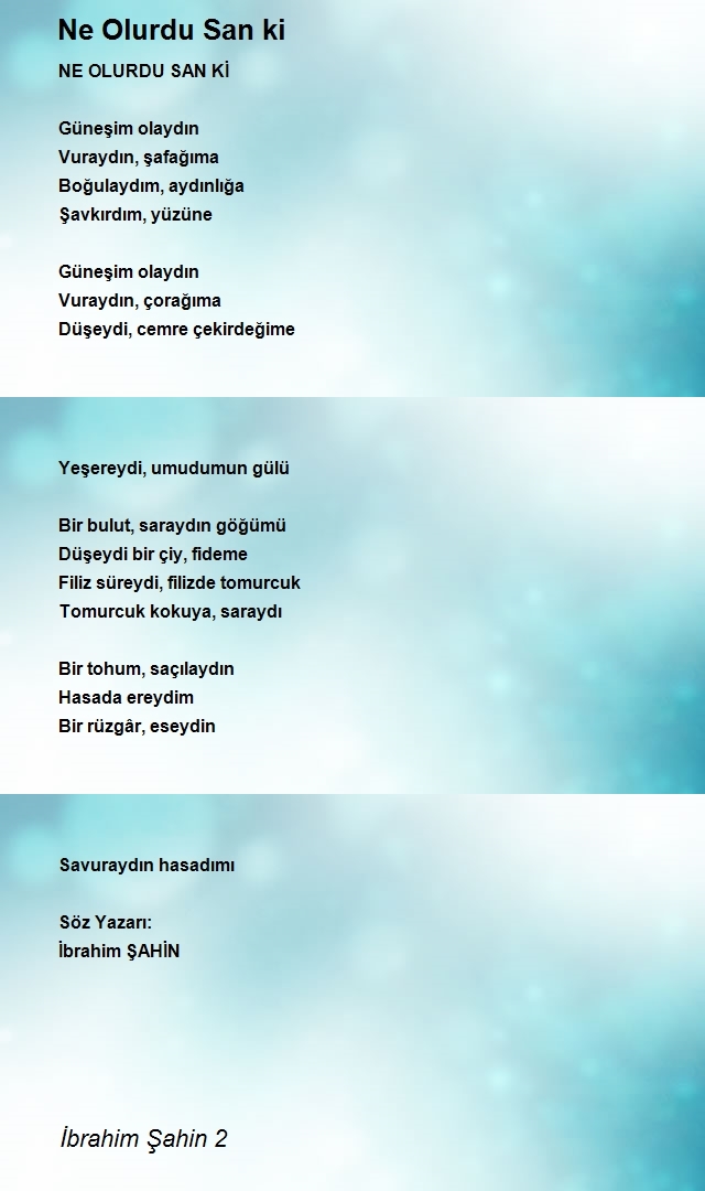 İbrahim Şahin 2