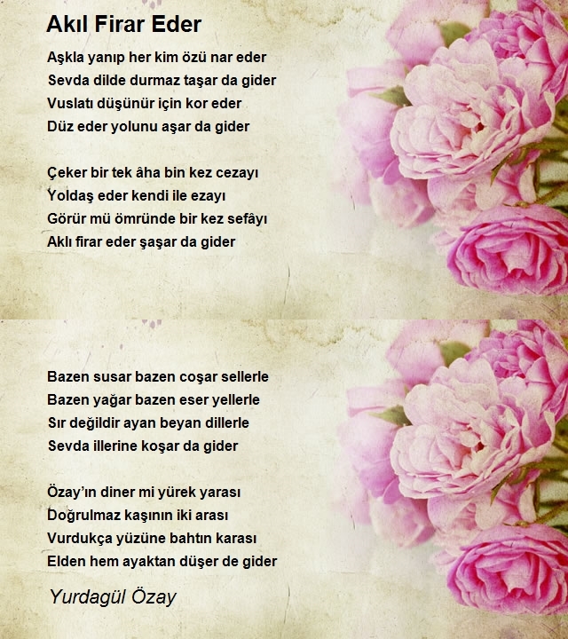 Yurdagül Özay