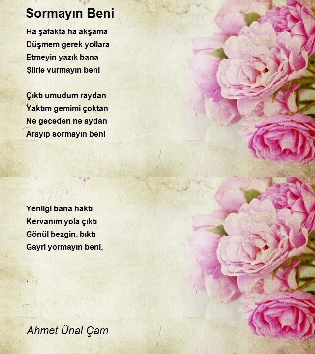 Ahmet Ünal Çam